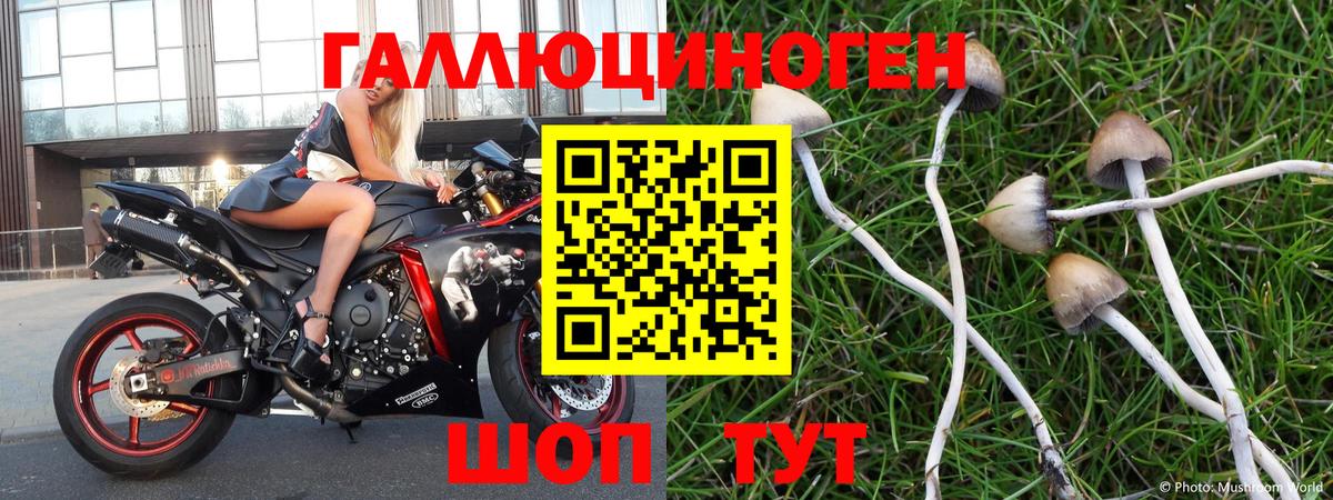 закладка  Вход с VPN  Татарск  Псилоцибиновые грибы Psilocybine cubensis 
